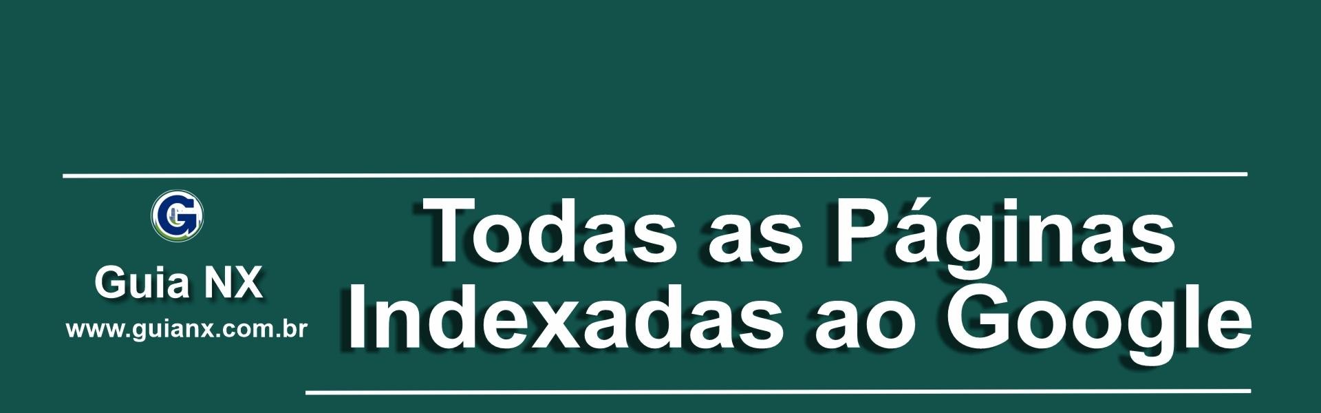 Guia NX Guia NX